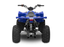 Квадроцикл SHARMAX Cross 200 (2024), фото 10