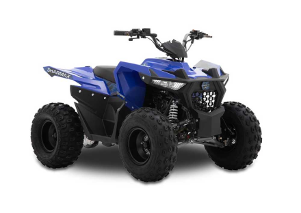 Квадроцикл SHARMAX Cross 200 (2024), фото 4