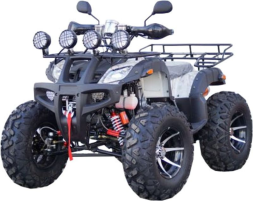 Квадроцикл STALKER 250 Premium, фото 1 Квадроцикл STALKER 250 Premium, фото 1