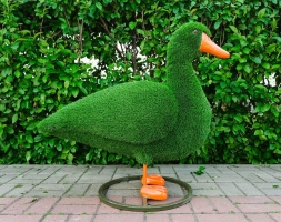 Топиари утка Кряша - газон Eco, фото 3