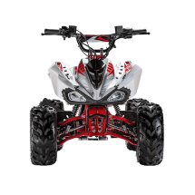 Квадроцикл ACCESS AMS 110 MiniSport