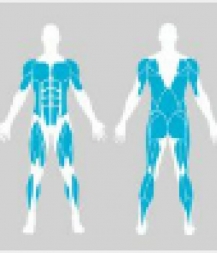 Турник с кольцами УТИ-023 , фото 3 Турник с кольцами УТИ-023 , фото 3