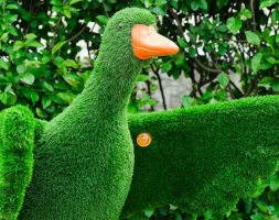 Топиари утка Кряк - газон Eco, фото 4