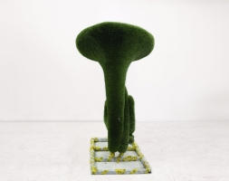 Топиари валторна - газон Deluxe, фото 4