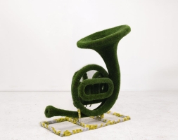 Топиари валторна - газон Deluxe, фото 2