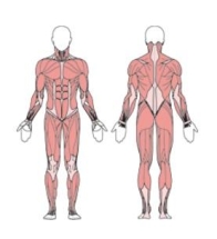 Балансир одинарный УТЭ-031П 