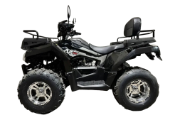 Квадроцикл RATO 200 LD Premium GT, фото 1 Квадроцикл RATO 200 LD Premium GT, фото 1