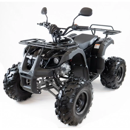 Квадроцикл MOTAX ATV Grizlik Lux 125сс, фото 4
