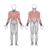 Балансир Flex горизонтальный УТЭ-032П 