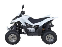 Квадроцикл SYM QuadRaider 300 SS, фото 3 Квадроцикл SYM QuadRaider 300 SS, фото 3