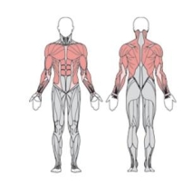 Балансир FLEX вертикальный УТЭ-033П 