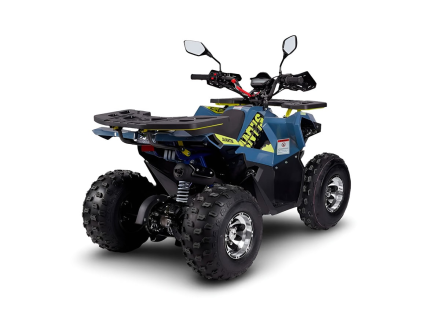 Квадроцикл AVANTIS Ray 8 Premium, фото 3