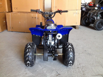 Квадроцикл RAPTOR 110, фото 4