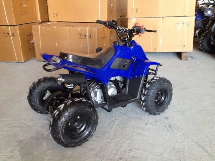 Квадроцикл RAPTOR 110, фото 3