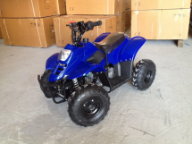 Квадроцикл RAPTOR 110 Квадроцикл RAPTOR 110