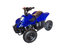 Квадроцикл RAPTOR 110 Квадроцикл RAPTOR 110