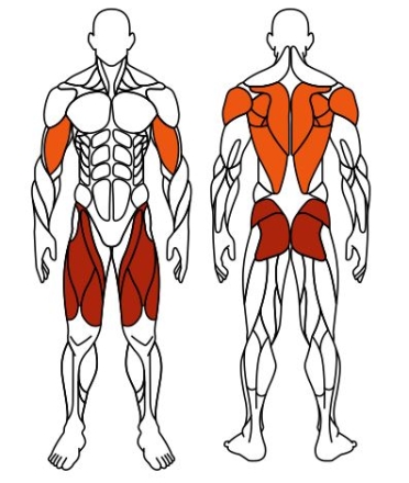 Тяга верхняя+Флекс (зеленый) - Уличный тренажер - СТ 021-12.И1, фото 6