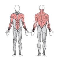 Упор для отжиманий УТЭ-035П 