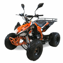 Квадроцикл MOTAX ATV T-Rex-LUX 125 сс