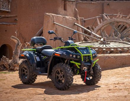 Квадроцикл РМ 650-2 (ПСМ), фото 9