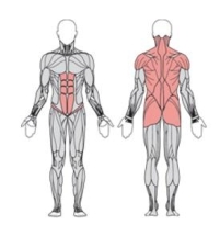 Твистер стоя двойной УТЭ-037П 
