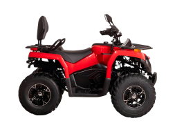 Квадроцикл BIZON YK200 Basic Carb, фото 3