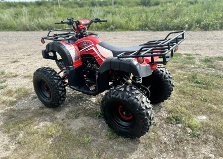 Квадроцикл RAPTOR Madman 200 All, фото 7