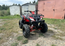 Квадроцикл RAPTOR Madman 200 All