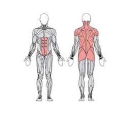 Твистер стоя одинарный УТЭ-038П, фото 3 Твистер стоя одинарный УТЭ-038П, фото 3