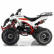 Квадроцикл MOTAX ATV Raptor LUX 125 сс