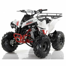 Квадроцикл MOTAX ATV Raptor LUX 125 сс