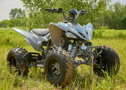 Квадроцикл SHARMAX Raizer Race Cup 250, фото 11