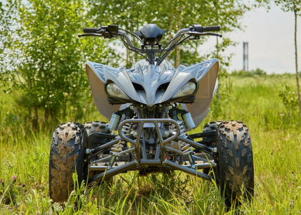 Квадроцикл SHARMAX Raizer Race Cup 250, фото 10