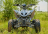 Квадроцикл SHARMAX Raizer Race Cup 250