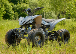 Квадроцикл SHARMAX Raizer Race Cup 250, фото 9