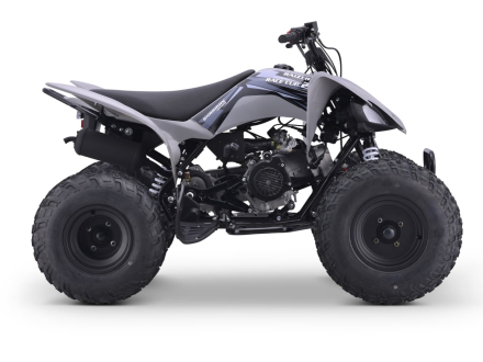 Квадроцикл SHARMAX Raizer Race Cup 250, фото 7