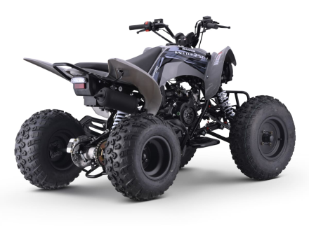 Квадроцикл SHARMAX Raizer Race Cup 250, фото 3