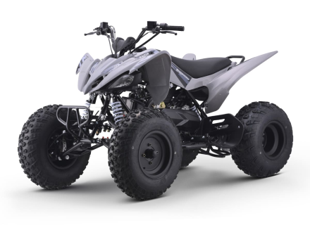 Квадроцикл SHARMAX Raizer Race Cup 250, фото 1