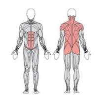 Твистер сидя  двойной  УТЭ-039П 