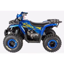 Квадроцикл Avantis HS8 Shark, фото 2