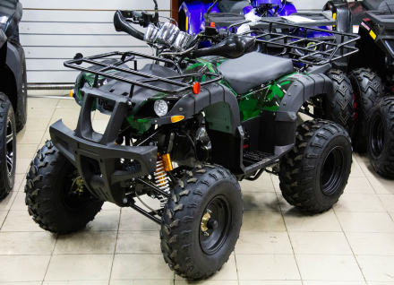 Квадроцикл UNIVERSAL ATV 200 TM Bull plus, фото 2