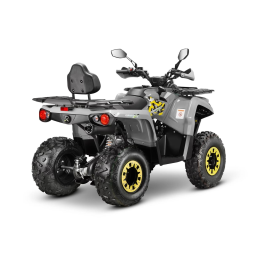 Квадроцикл GLADIATOR F200 Lux Plus, фото 5