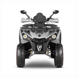 Квадроцикл GLADIATOR F200 Lux Plus, фото 3