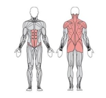 Твистер  сидя и стоя двойной  УТЭ-040П 