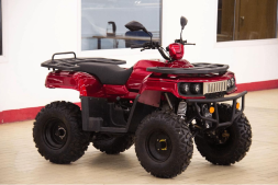 Квадроцикл UNIVERSAL Hammer 2 (200), фото 2