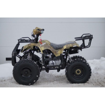 Квадроцикл MOTOLAND 125 Fox A