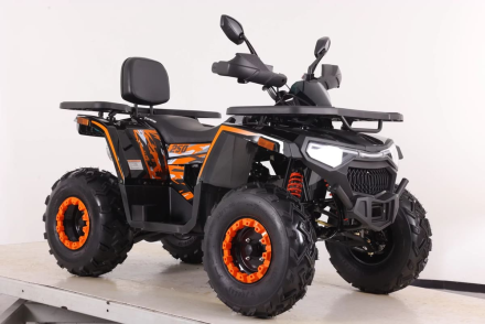 Квадроцикл SHARK III 250, фото 3