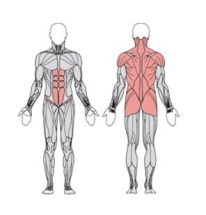 Твистер - сидя и балансир - сидя двойной  УТЭ-041П