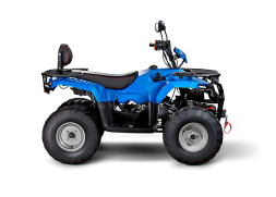 Квадроцикл IRBIS ATV200 LUX, фото 4