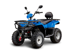 Квадроцикл IRBIS ATV200 LUX, фото 1
